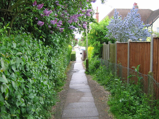 img_0012.jpg